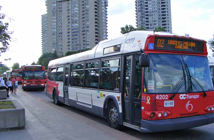 OC Transpo New Flyer Invero 4202